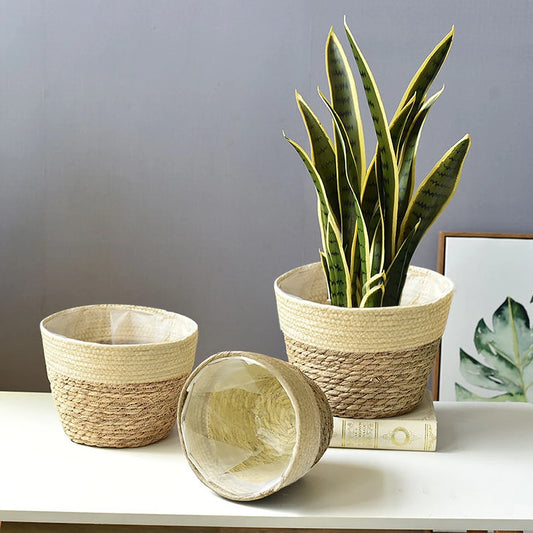 Plant Pots Seagrass Basket