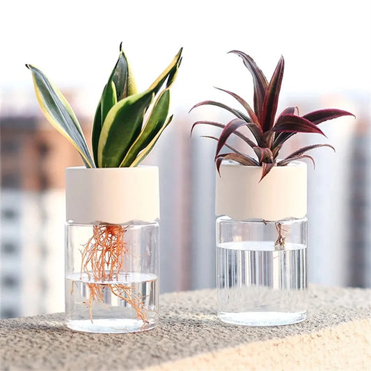 Mini Hydroponic  Transparent Flower Pot