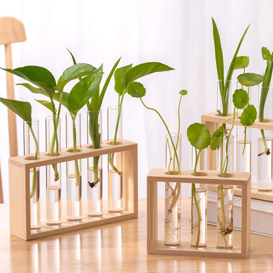 Hydroponic Plant Container Test Tube model with Wooden Frame