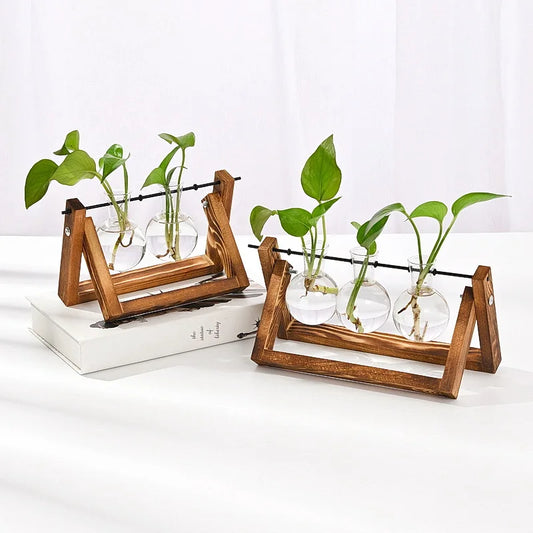 Hydroponic glass vase wooden frame