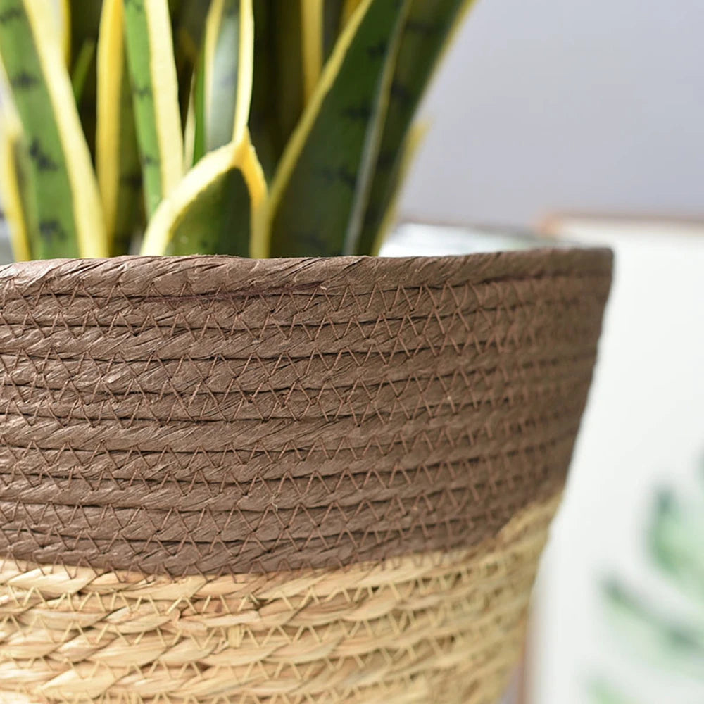 Plant Pots Seagrass Basket