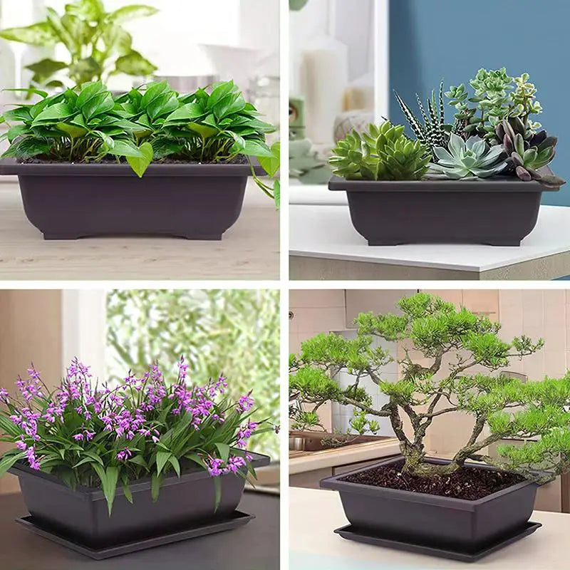 Rectangular Flowerpots